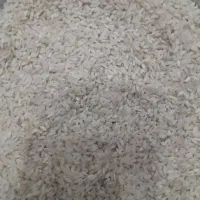 برنج چمپای کلات