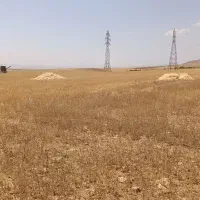 کاه گندم ریز اعلا