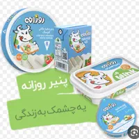 بازاریاب حضوری برند روزانه