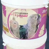 سرلاک طوطی‌سانان سپهردانه