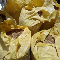 کود گوسفندی بومهن،رودهن،پردیس