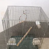 قفس پرنده مناسب عروس هلندی ، طوطی ،کاسکو