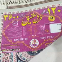 فرش|فرش|شیراز, حجت آباد|دیوار