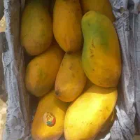 انبه