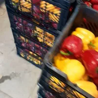 فلفل دلمه رنگی