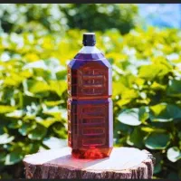 سرکه چوب    شیره چوب