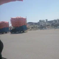 کاه جو