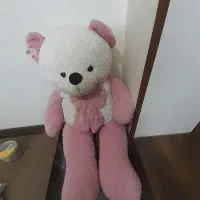 خرس بزرگ