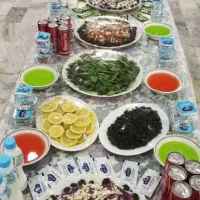 کاروان کربلا پرداخت ۶ ماهه