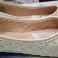 کفش کیف