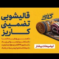 قالیشویی کاریز شستشوی VIP برای طرفداران کیفیت
