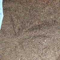تخم یونجه|خدمات باغبانی و درختکاری|رودخانه, |دیوار