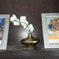 اسپیکر ادیفایر مدل R311