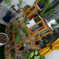 استند چوبی برای گل