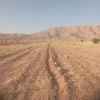 2-هکتار-زمین-کشاورزی-دشت-بزرگ-لیشتر