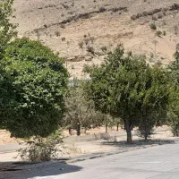 اجاره-زمین-1360-متر-بر-بلوار-شیرودی-برا-مصالح-فروش