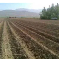 فروش-زمین-کشاورزی