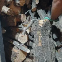 خریدار چوب تخریبی