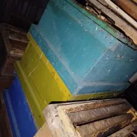 تعداد حدود ۱۵ عدد طبق کندو