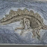 تابلو دایناسور کارابال