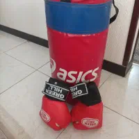 کیسه بوکس ودستکش