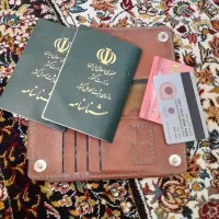 پیدا شده