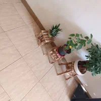 نظافت منزل