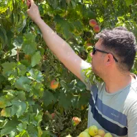 باغچه-دشت-ارژن