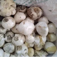 موسیر سبزکوه