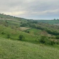 زمین میدون سر