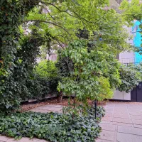 باغ-ویلای-1200-متری-قدوسی-مناسب-مهدکودک