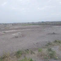 زمین کوی سلیمانی
