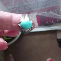 دوتاانگشترفیوزه.نیشابور ویک شجرهمه گرمی 350