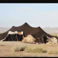 سیاه چادر(گدام)