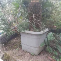 نیازمند کارگر ساده متاهل