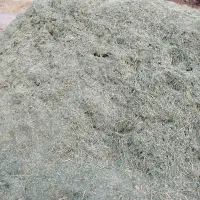 یونجه بدون گیاه