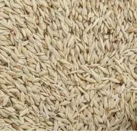 خریدارم جو دیم هستم به قیمت