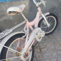 دوچرخه و تریلی دوچرخ