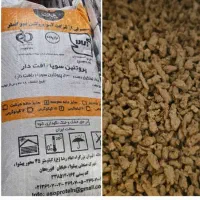 سویا فله 15 کیلوگرمی یلدون