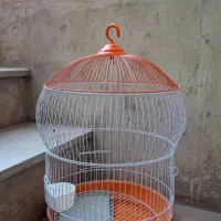 قفس پرنده