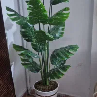 درختچه مصنوعی نو