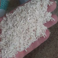 برنج لاشه موتور درآمد محلی