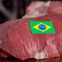 پخش کننده گوشت منجمد