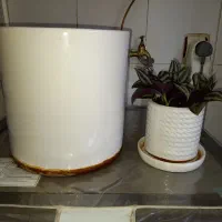 گلدان