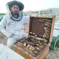 عسل درجه یک