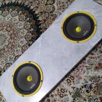 یه جفت میدرنج 4