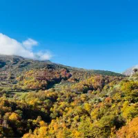زمین ۳۸۰ متری روستای باغ سرخاباد محصور