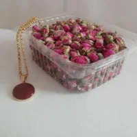 غنچه گل محمدی