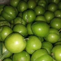 آلوچه اعلا