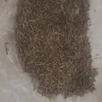 ۰۹۰۵۶۲۰۹۹۰۱ تماس بگیرید